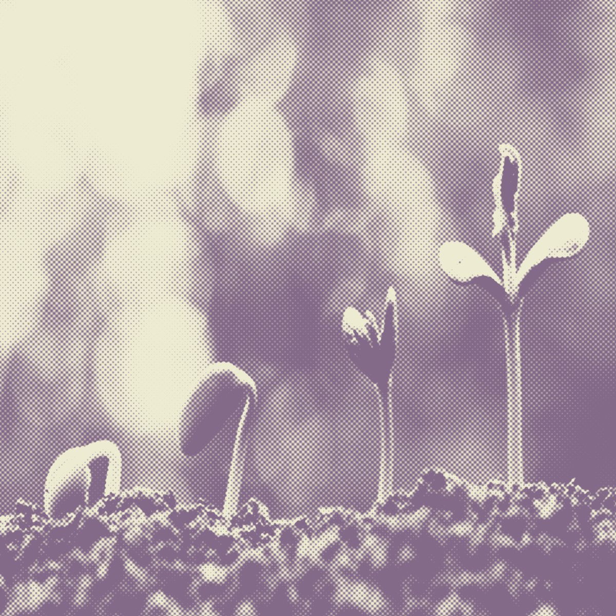 (Higher) Defined Contribution